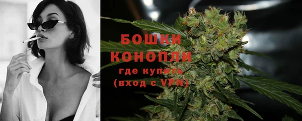 дживик Каменка