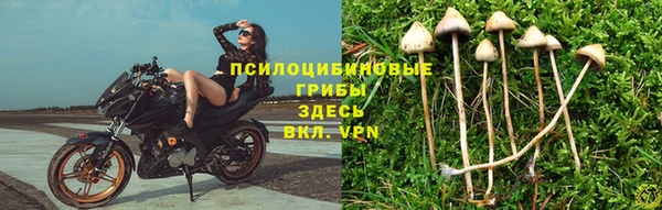 дживик Каменка