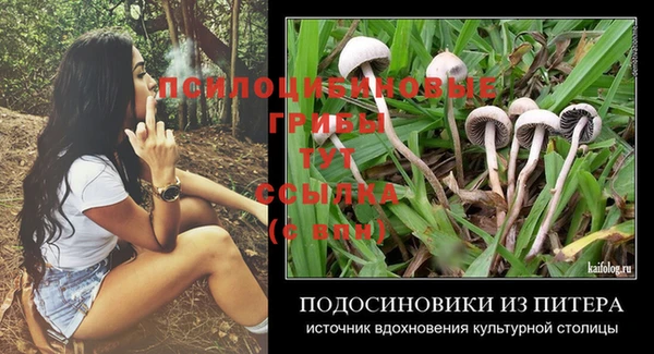 дживик Каменка