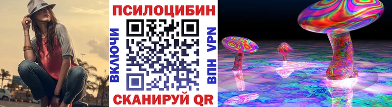 Купить  Тейково  Галлюциногенные грибы Magic Shrooms 